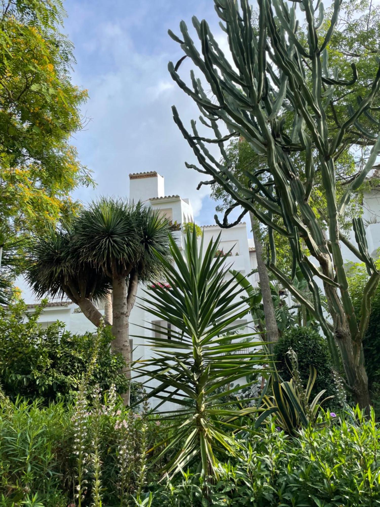 Relax&Sunset Appartement Costa Ballena Rota Exterior foto